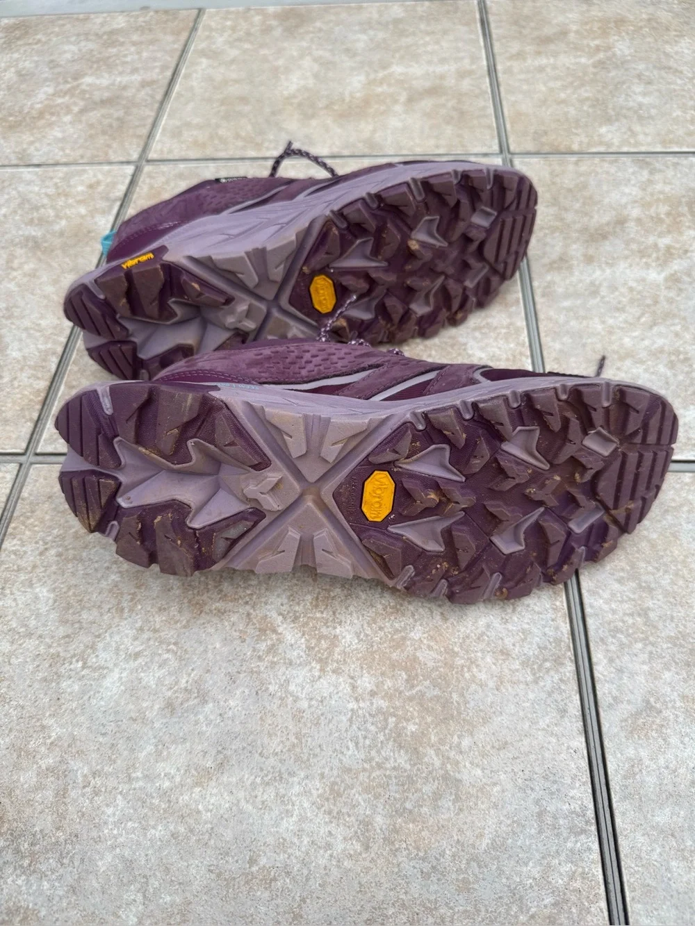 Hoka One One Anacapa Low GTX  shoes